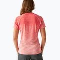 Damen REGATTA Laxley II Pfirsich Blüte ombre T-Shirt 3