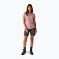 Shirt Damen Regatta Fingal Edition lilas 2