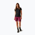 Damen-Trekking-Shorts REGATTA Mountain II beaujolais 2