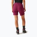 Damen-Trekking-Shorts REGATTA Mountain II beaujolais 3