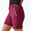 Damen-Trekking-Shorts REGATTA Mountain II beaujolais 4