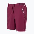 Damen-Trekking-Shorts REGATTA Mountain II beaujolais 7