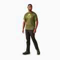 Trekking-Shirt Herren REGATTA Fingal IX nephrite green marl 2
