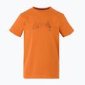 Trekking-Shirt Herren REGATTA Breezed V fox