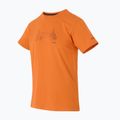 Trekking-Shirt Herren REGATTA Breezed V fox 3