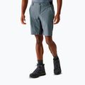 Trekking Shorts Herren REGATTA Eldes stormy weather/ash