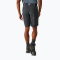Trekking Shorts Herren REGATTA Eldes stormy weather/ash 3