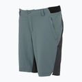 Trekking Shorts Herren REGATTA Eldes stormy weather/ash 7