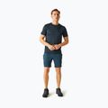 Trekking Shorts Herren REGATTA Leesville III moonlight denim 2