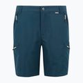 Trekking Shorts Herren REGATTA Leesville III moonlight denim 6