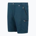 Trekking Shorts Herren REGATTA Leesville III moonlight denim 8