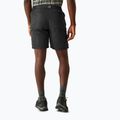 Trekking Shorts Herren REGATTA Leesville III ash 3