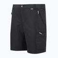 Trekking Shorts Herren REGATTA Leesville III ash 7