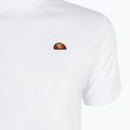 Shirt Herren Ellesse Holdino white 8