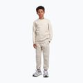 Kinder-Sweatshirt New Balance Brush Back Small Logo Crew timberwolf 2