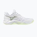 Damen-Volleyballschuhe Mizuno Wave Momentum Pro white/aqua gray/ambrosia