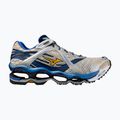 Schuhe Mizuno Wave Prophecy 1 Artisan'S Gold
