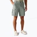 Herren REGATTA Shorebay II Sturm grau Trekking-Shorts