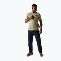 Herren T-Shirt REGATTA ClineIX golden sand 2