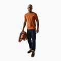 Herren-T-Shirt REGATTA ClineIX glazed ginger 2