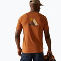 Herren-T-Shirt REGATTA ClineIX glazed ginger 3