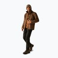 Herren Softshelljacke REGATTA Matt II nut brown 2