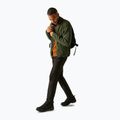 Herren-Sweatshirt REGATTA Elnut olive night 2