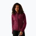 Damen-Hybridjacke REGATTA Andreson Hybrid dark pimento