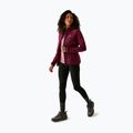 Damen-Hybridjacke REGATTA Andreson Hybrid dark pimento 2
