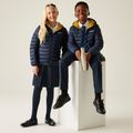 Kinderjacke REGATTA Hooded Marizion navy/gold flake 11