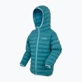 Kinderjacke REGATTA Hooded Marizion storm blue/nordic blue 3