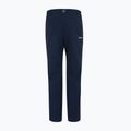 Herren Trekkinghose REGATTA Highton Winter navy 5