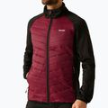 3-in-1 Herrenjacke REGATTA Sacramento dark maroon/black 9
