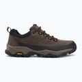 Herren-Trekkingschuhe REGATTA Blake Low peat/wood 2