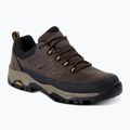 Herren-Trekkingschuhe REGATTA Blake Low peat/wood 8