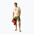 Herren-Shirt Regatta ClineIX white stone wilderness 2