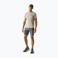 Herren-Trekking-T-Shirt REGATTA Mindoi Anti Insect abbeystone 2