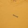 Trekking-T-Shirt für Herren REGATTA Mindoi Anti Insect wood brown 3