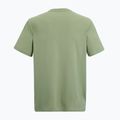 Trekkingshirt Herren REGATTA Fingal light sage 6