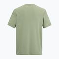 Trekkingshirt Herren REGATTA Fingal Stretch light sage 6