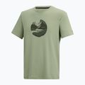 Trekkingshirt Herren REGATTA Fingal Stretch light sage 7