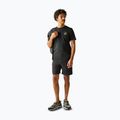 Herren-Trekkingshirt REGATTA Breezed ash 2