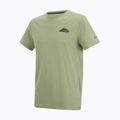 Herren-Trekkingshirt REGATTA Breezed light sage 7