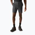 Herren-Trekkingshorts REGATTA Anti Insect Travel Light ash