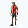 Herren-Trekkingshorts REGATTA Anti Insect Travel Light ash 2