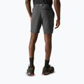 Herren-Trekkingshorts REGATTA Anti Insect Travel Light ash 3