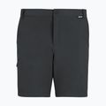 Herren-Trekkingshorts REGATTA Anti Insect Travel Light ash 5