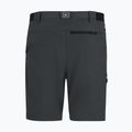 Herren-Trekkingshorts REGATTA Anti Insect Travel Light ash 6