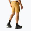 Herren-Trekkingshorts REGATTA Anti Insect Travel Light wood brown 3