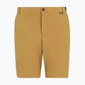 Herren-Trekkingshorts REGATTA Anti Insect Travel Light wood brown 5